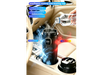 Bottle Cooler,Warmer DZ016