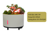 SZ-23502 Decorative Succulent Humidifier with Colorful LED Light