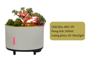 SZ-23502 Decorative Succulent Humidifier with Colorful LED Light