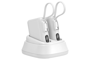 LDB210 Dual-Slot Charging Dock for Power Banks