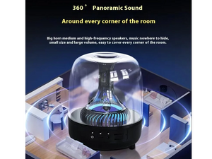 BLUETOOTH SPEAKER_BLUETOOTH SPEAKER DY01