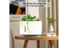 SZ-23302 Decorative Plant Humidifier with Fine Mist And Aroma Function