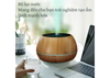 2020 Wood Grain Mist Humidifier with Built-in Bluetooth Speaker And 7-Color LED Light