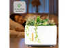 SZ-23302 Decorative Plant Humidifier with Fine Mist And Aroma Function