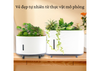 SZ-23302 Decorative Plant Humidifier with Fine Mist And Aroma Function