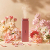 ESSENTIAL OIL DIFFUSER_CAR ESSENTIAL OIL DIFFUSER I-0