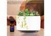 SZ-23302 Decorative Plant Humidifier with Fine Mist And Aroma Function