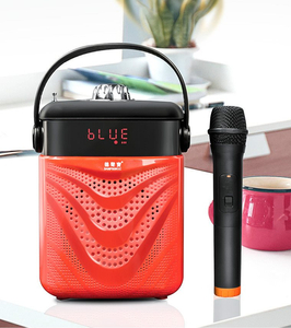 Portable bluetooth speaker + miro D116
